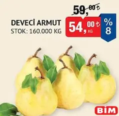 DEVECİ ARMUT KG DEVECİ ARMUT KG